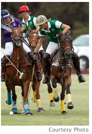 Polo Photograph